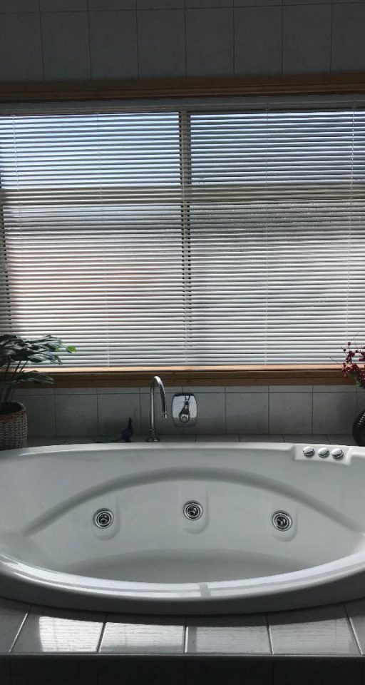Slimline Venetian Blinds