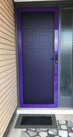 IntrudaGuard Purple Security Door
